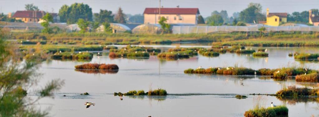 Maribeach Кавалліно-Трепорті Екстер'єр фото